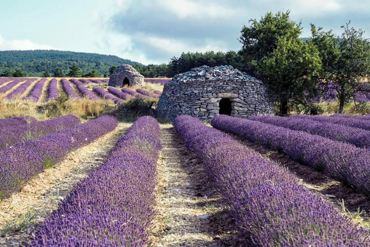 La Bastide Des Bourguets Adults Only, Mont Ventoux Bed and Breakfast Sault-de-Vaucluse 4*,