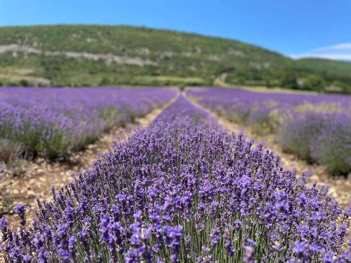 La Bastide Des Bourguets Adults Only, Mont Ventoux Bed & Breakfast Sault-de-Vaucluse